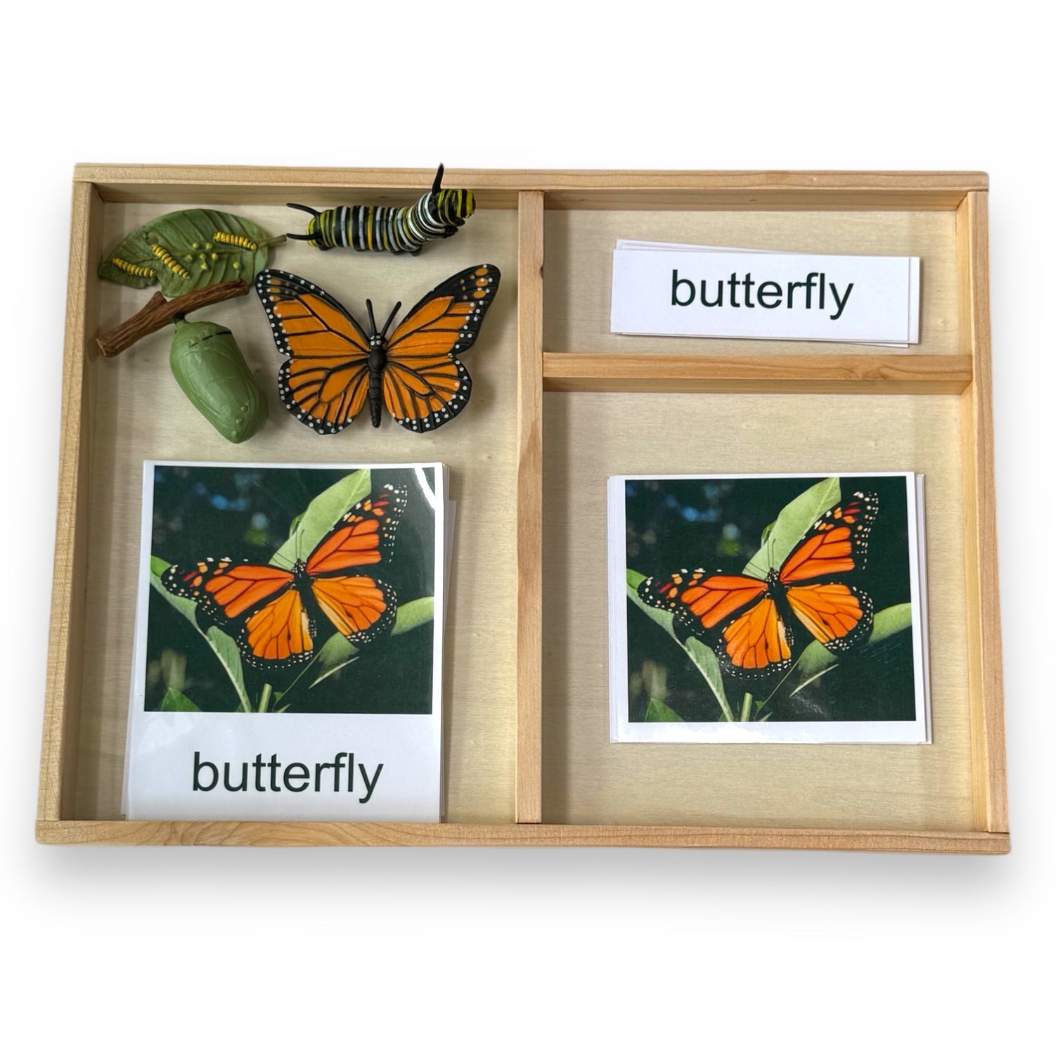Montessori Tray for 3 Part Cards | Montessori Child