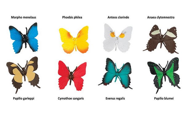 Butterfly Species Models & PDF of matching Cards | Montessori Child